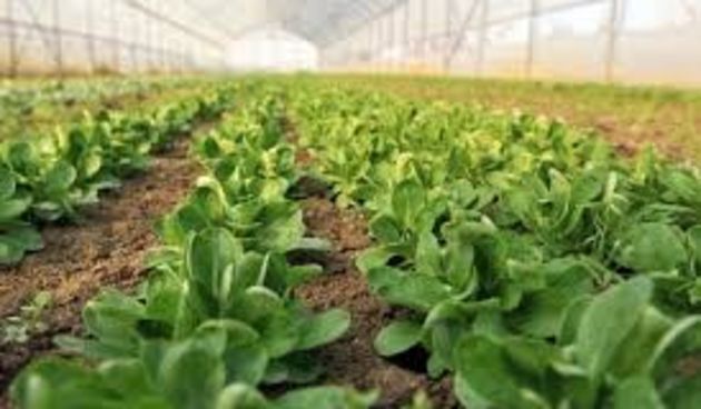 Poljoprivreda, foto:Promo