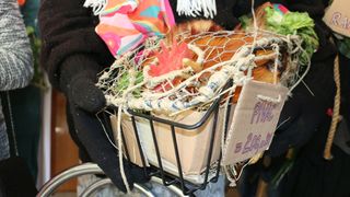 Nedjeljne maškare na Viru Nedjeljne maškare na Viru