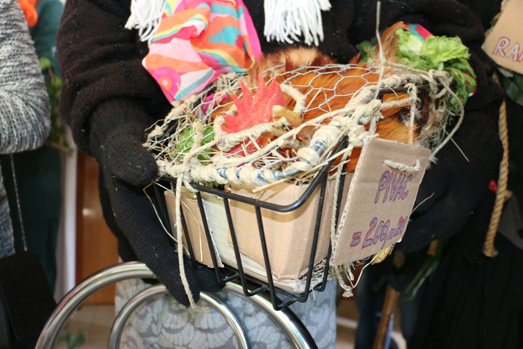 Nedjeljne maškare na Viru Nedjeljne maškare na Viru