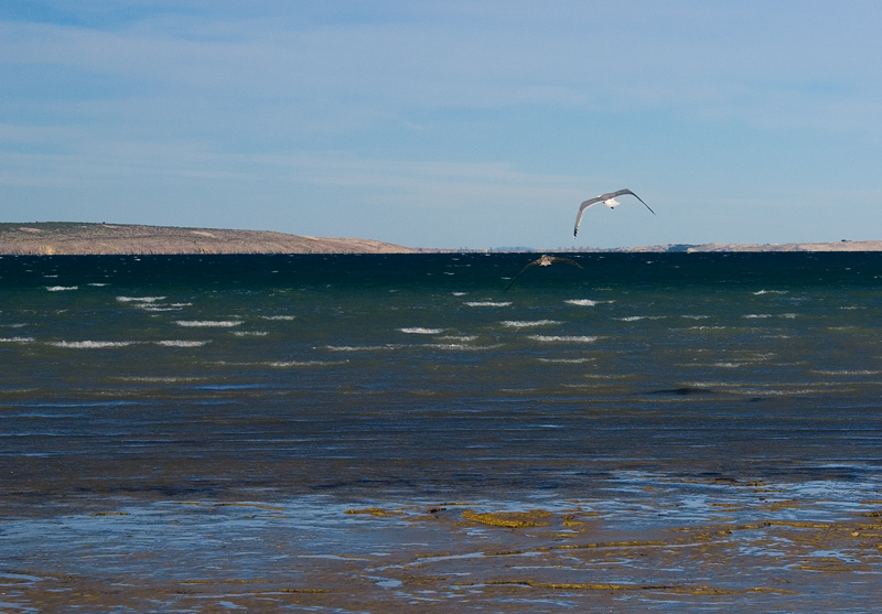 Image 1194613 (auto)