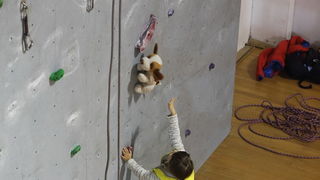 Bibinje: Županijsko natjecanje u sportskom penjanju na umjetnoj stijeni. Foto: Leo Banić