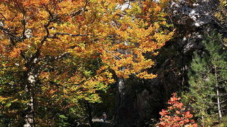 Paklenica: Boje jeseni, Foto: Mladen Radolovic Mrlja