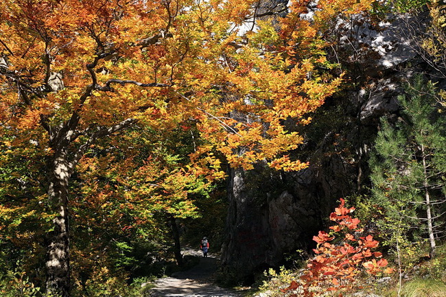 Paklenica: Boje jeseni, Foto: Mladen Radolovic Mrlja