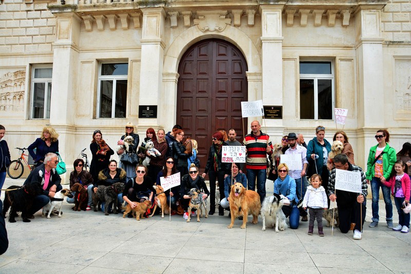 Skup podrške za NO KILL skloništa za životinje,  foto Iva Perinčić