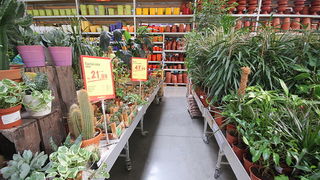 Velika fešta u bauMaxu 8. rujna 2012, Foto: Saša Čuka Velika fešta u bauMaxu 8. rujna 2012, Foto: Saša Čuka