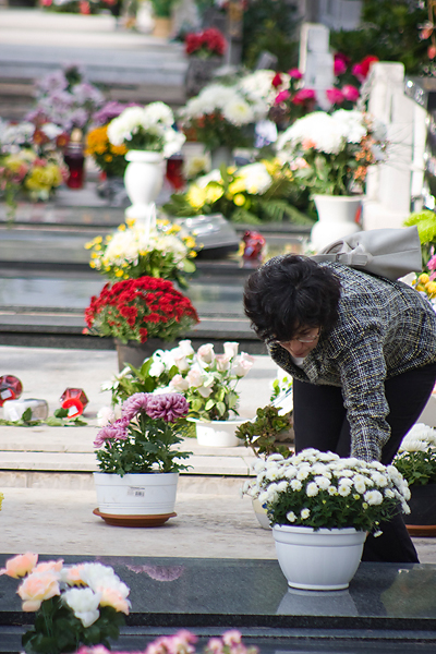 Gradsko groblje uoči blagdana Svih svetih (foto:Saša Čuka) Gradsko groblje uoči blagdana Svih svetih (foto:Saša Čuka)