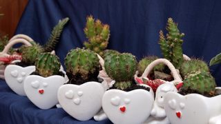 Sv. Filip i Jakov – 10. Dani cvijeća, 24. i 25. travnja 2010. (Foto: Vedran Penga)