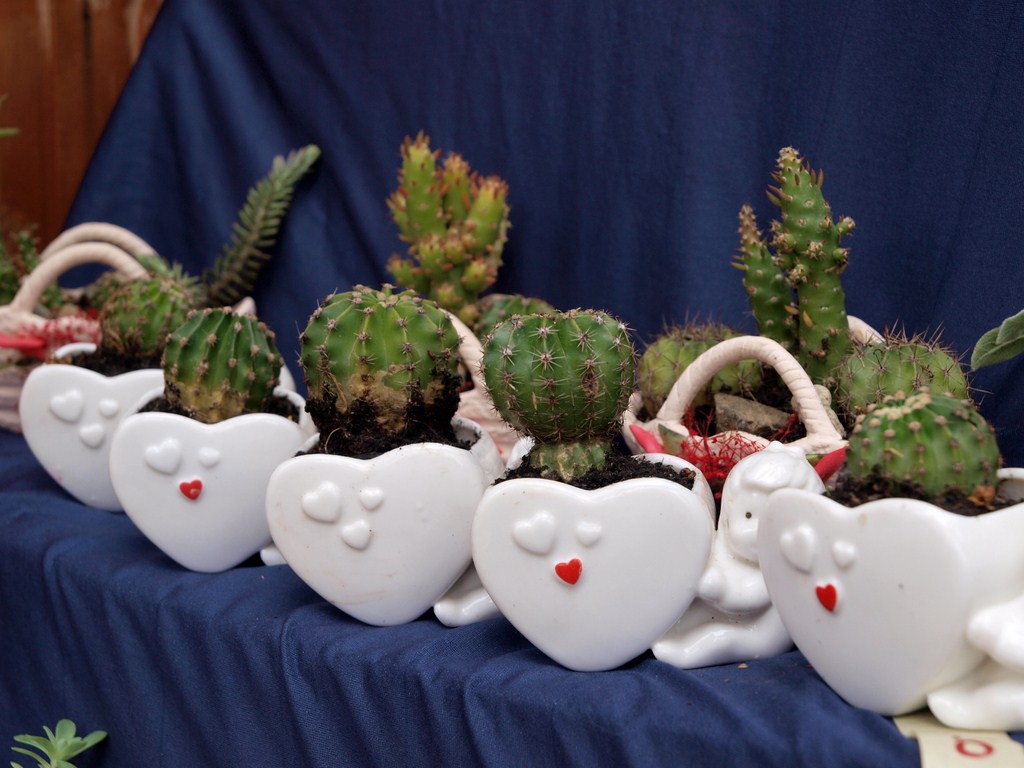 Sv. Filip i Jakov – 10. Dani cvijeća, 24. i 25. travnja 2010. (Foto: Vedran Penga)