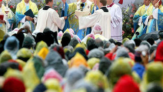 Image 1183759 (auto)