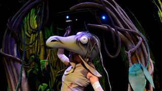 Knjiga o džungli, foto: Iva Perinčić Knjiga o džungli, foto: Iva Perinčić