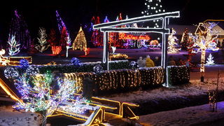 Cazma, 171210.
Grabovnica pokraj Cazme.
Imanje obitelji Salaj.
Predsjednica Vlade Jadranka Kosor svecano je upalili lampice na imanju obitelji Salaj u okviru Bozicne price u Cazmi.
Na imanju je ove godine upaljeno 1100000 lampica.
Prigodom otvorenja bio j