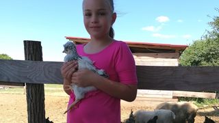 Libretići na snimanju spota u Ponylandu Libretići na snimanju spota u Ponylandu