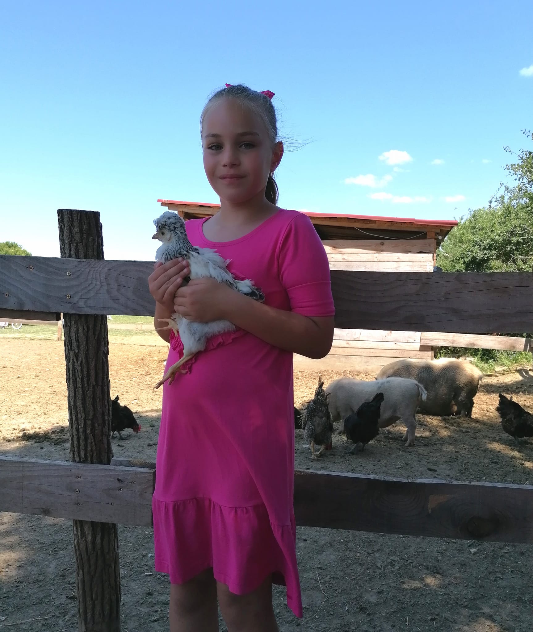 Libretići na snimanju spota u Ponylandu Libretići na snimanju spota u Ponylandu