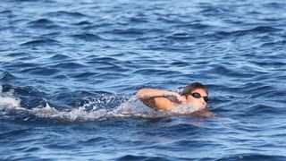 39. Plivački maraton Preko – Zadar, Foto: Edin Kadić 39. Plivački maraton Preko – Zadar, Foto: Edin Kadić