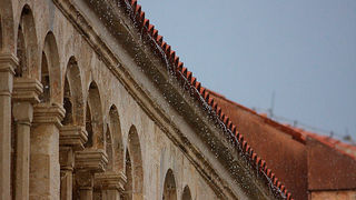 Advent u Zadru 2008. – Savijaca Krsevan