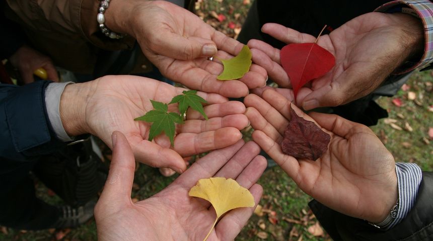 Tolerancija ilustracija Tolerancija ilustracija