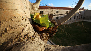 Mediji i uzvanici posjetili Polaču, Vransko jezero i Maškovića han