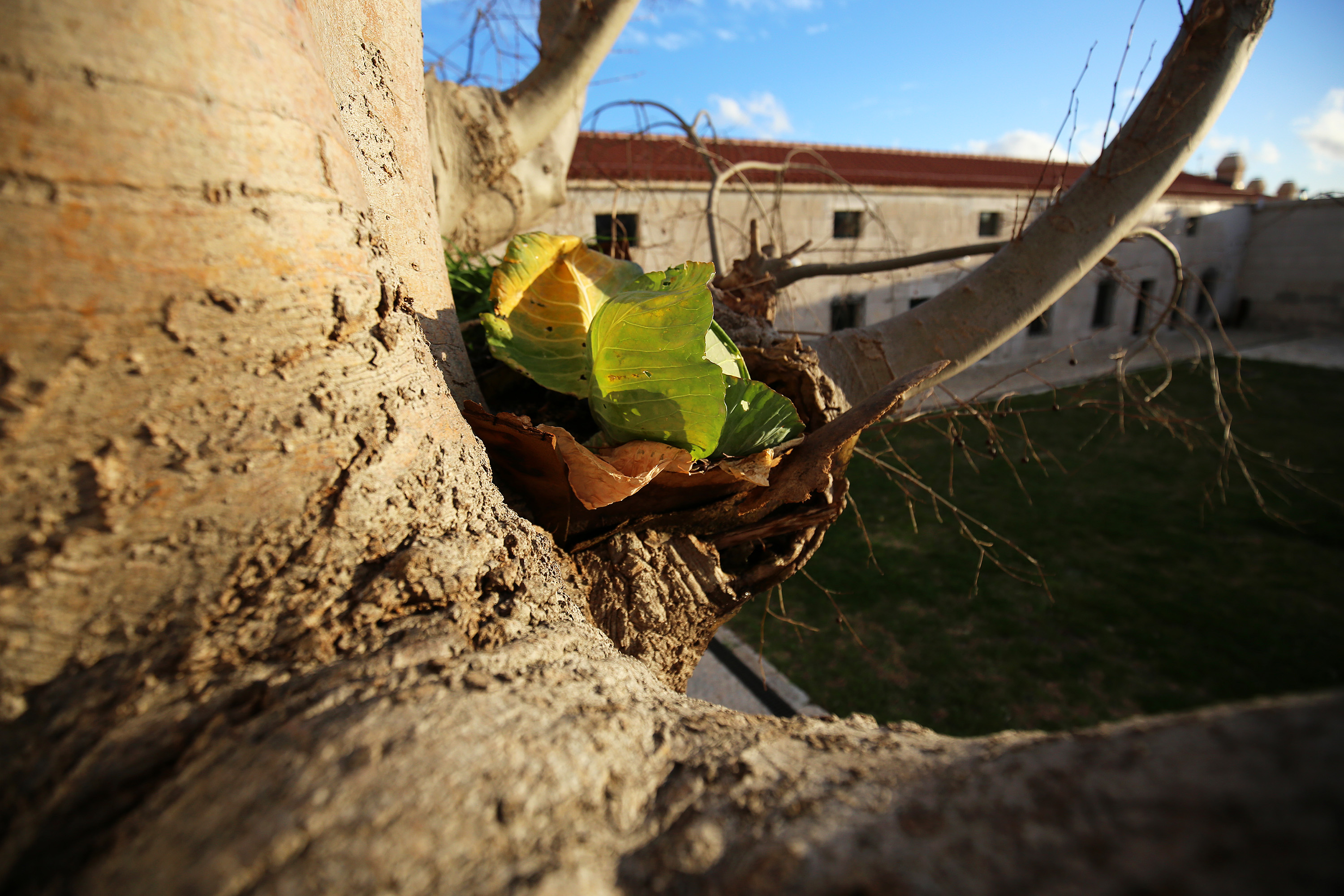 Mediji i uzvanici posjetili Polaču, Vransko jezero i Maškovića han