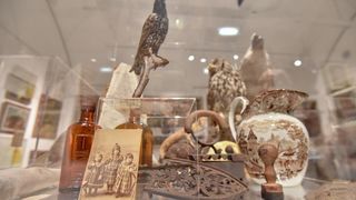 Obnovljena Kneževa palača u Zadru Obnovljena Kneževa palača u Zadru