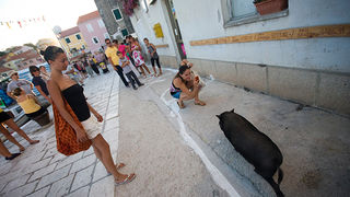 51. Saljske užance, 8. kolovoza 2010. (foto:Saša Čuka)