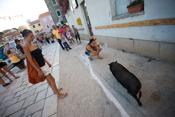 51. Saljske užance, 8. kolovoza 2010. (foto:Saša Čuka)