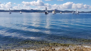 Zadarska Koka 2016. 22. listopada 2016. Foto: Mladen Malik Zadarska Koka 2016. 22. listopada 2016. Foto: Mladen Malik