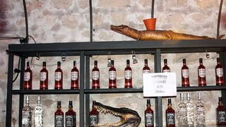 Southern Comfort New Orleans karneval