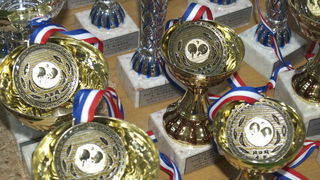 IV memorijalni turnir barba Tomo