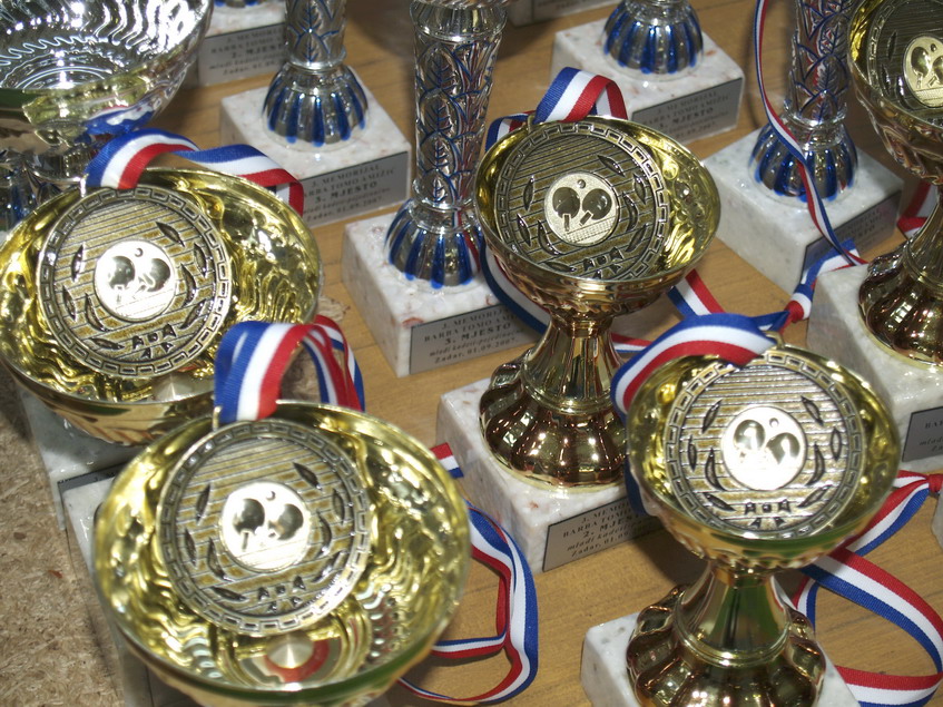 IV memorijalni turnir barba Tomo