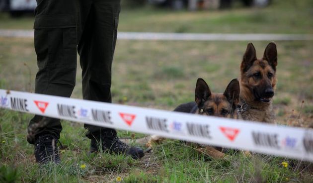 11. medjunarodni simpozij MINE ACTION 2014 odrzan je na podrucju nekadasnje vojne baze Sepurine, gdje su predstavljeni nacini u razminiravanju. Photo: Filip Brala/PIXSELL