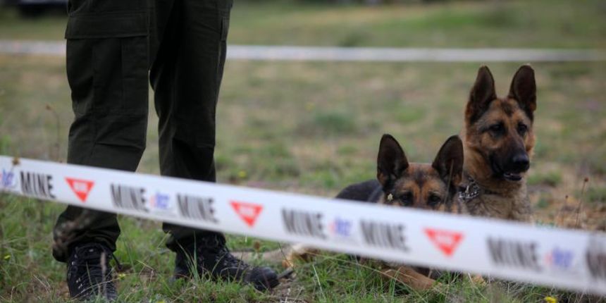 11. medjunarodni simpozij MINE ACTION 2014 odrzan je na podrucju nekadasnje vojne baze Sepurine, gdje su predstavljeni nacini u razminiravanju. Photo: Filip Brala/PIXSELL 11. medjunarodni simpozij MINE ACTION 2014 odrzan je na podrucju nekadasnje vojne baze Sepurine, gdje su predstavljeni nacini u razminiravanju. Photo: Filip Brala/PIXSELL