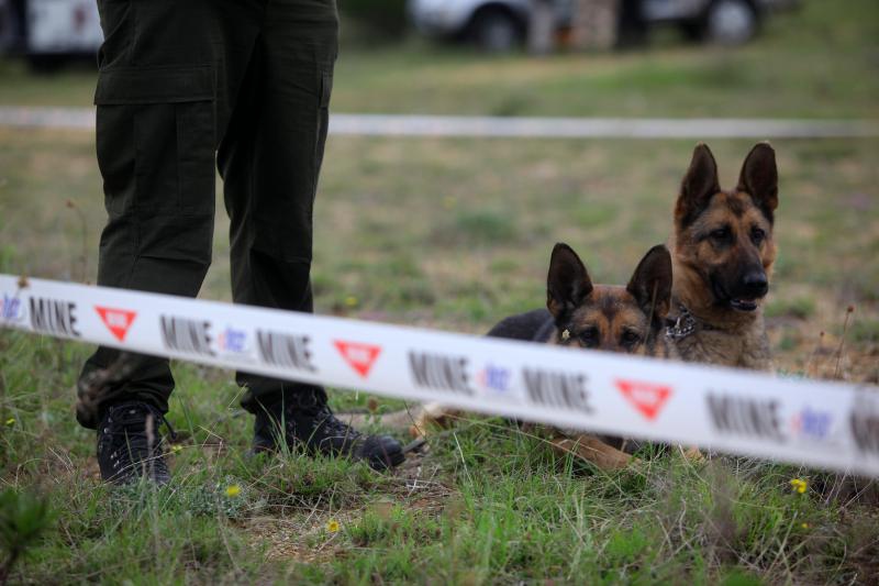 11. medjunarodni simpozij MINE ACTION 2014 odrzan je na podrucju nekadasnje vojne baze Sepurine, gdje su predstavljeni nacini u razminiravanju. Photo: Filip Brala/PIXSELL 11. medjunarodni simpozij MINE ACTION 2014 odrzan je na podrucju nekadasnje vojne baze Sepurine, gdje su predstavljeni nacini u razminiravanju. Photo: Filip Brala/PIXSELL