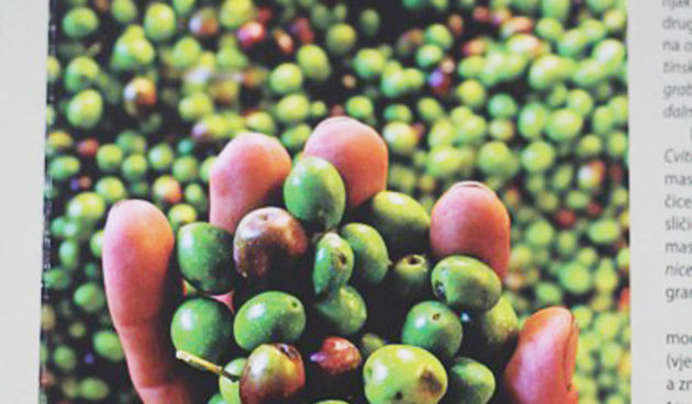 Otvorenje izložbe ‘’Maslina drvo života’‘ (foto:Saša Čuka)