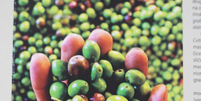 Otvorenje izložbe ‘’Maslina drvo života’‘ (foto:Saša Čuka)