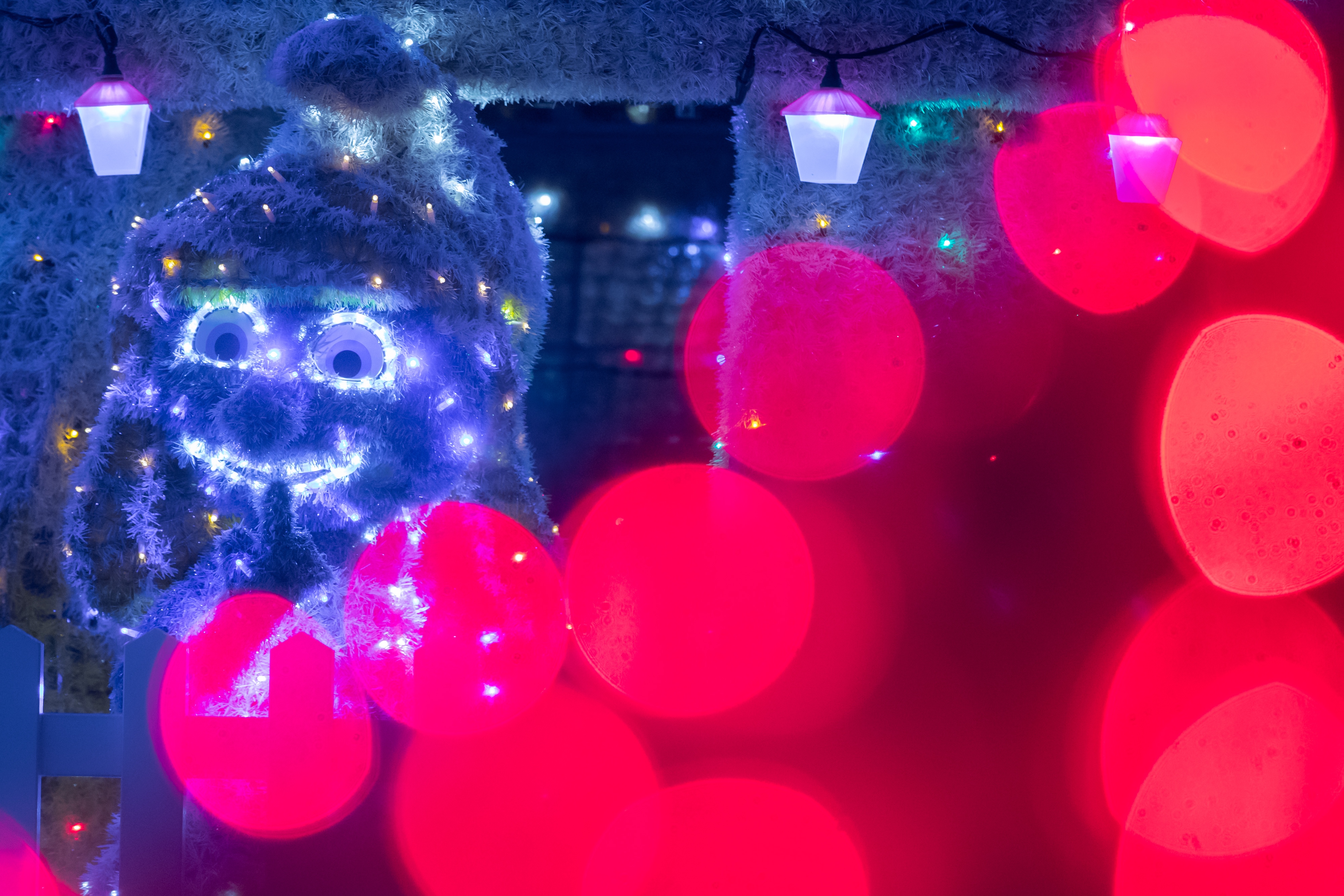 Još raskošnije izdanje: pogledajte kako izgleda Božićna priča obitelji Salaj gdje je ove godine zasjalo rekordnih 2.5 milijuna lampica