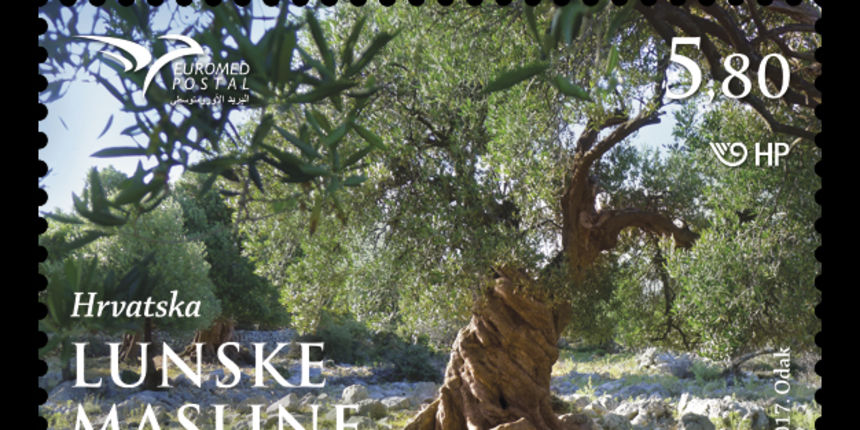 Lunske masline Lunske masline