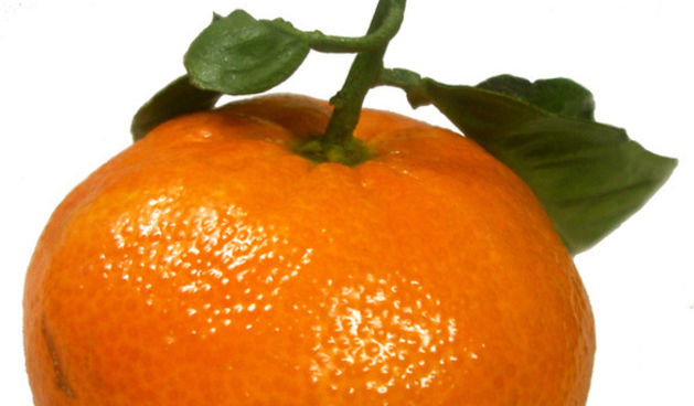 mandarina, foto: www.fanpop.com