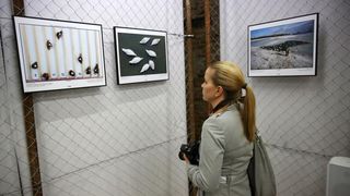 21.10.2013., Zadar – U Knezevoj palaci otvorena je izlozba Hrvatske novinske fotografije 2012. Photo: Filip Brala/PIXSELL 21.10.2013., Zadar – U Knezevoj palaci otvorena je izlozba Hrvatske novinske fotografije 2012. Photo: Filip Brala/PIXSELL