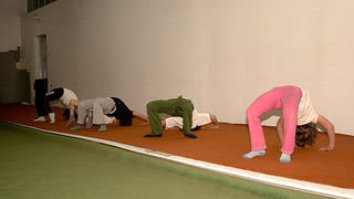 Klub skokova u vodu Zadar