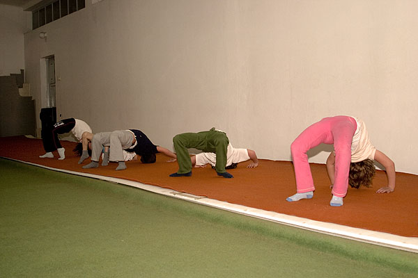 Klub skokova u vodu Zadar