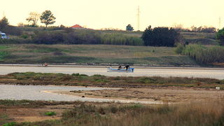 Nedjeljni đir ninskom plažom Ždrijac Nedjeljni đir ninskom plažom Ždrijac