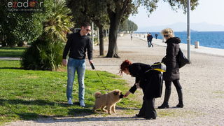 Đir po gradu 14. veljače 2017.