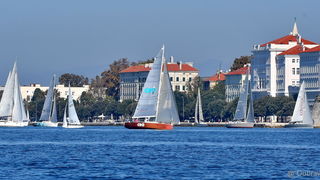 Sva lica “Zadarske koke” Sva lica “Zadarske koke”