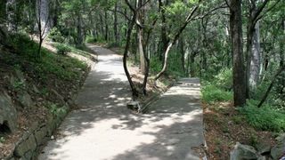 Đir p Rabu Đir p Rabu