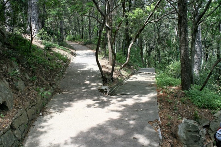 Đir p Rabu Đir p Rabu