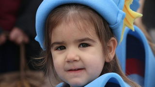 Virski karnevalić 2016. Virski karnevalić 2016.