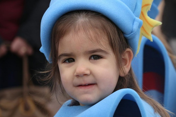 Virski karnevalić 2016. Virski karnevalić 2016.