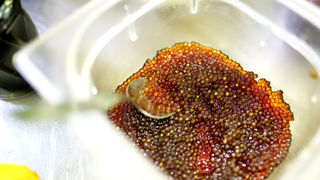 Kuharska radionica Davida Skoke u Falkensteiner Hotelu Adriana Kuharska radionica Davida Skoke u Falkensteiner Hotelu Adriana