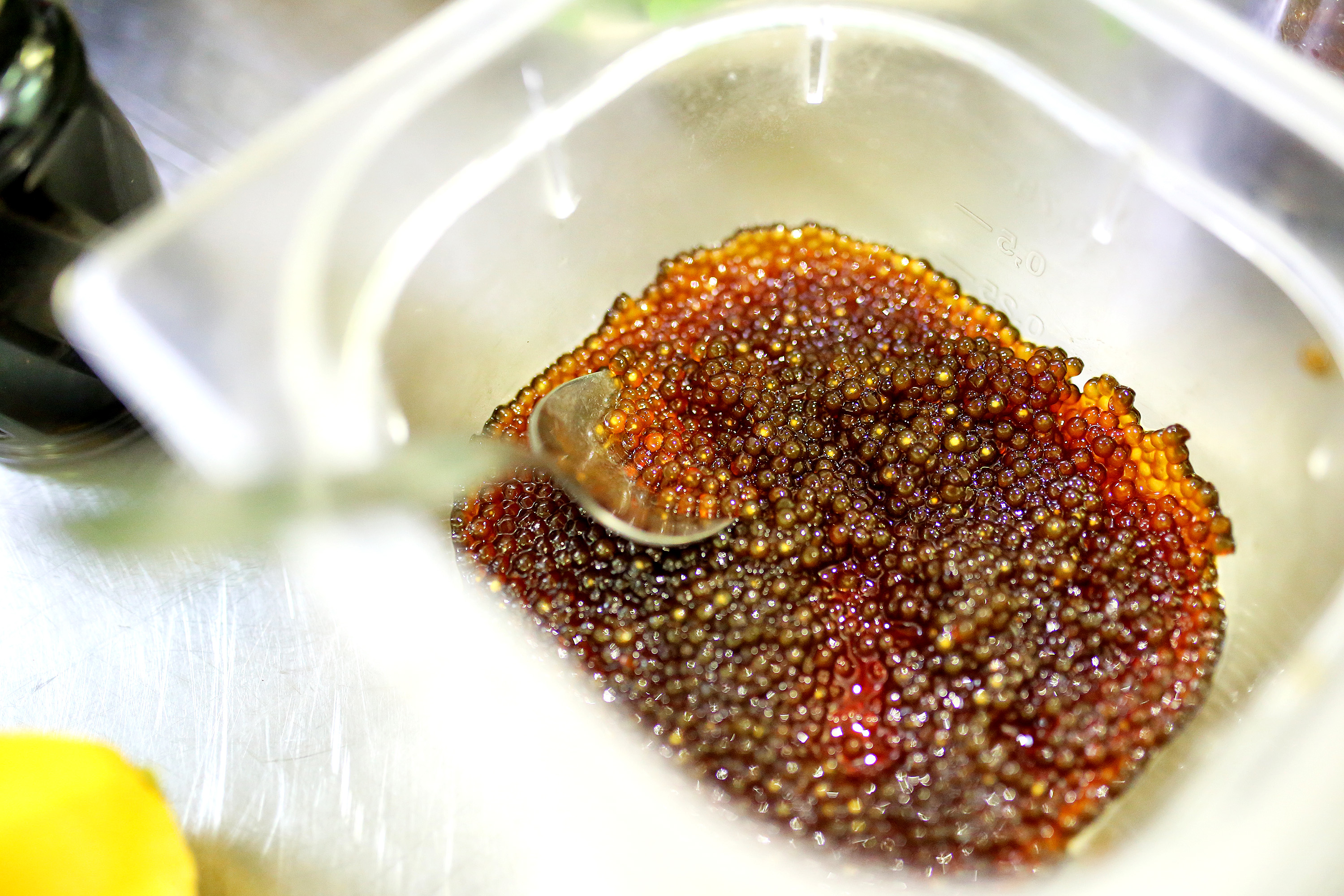 Kuharska radionica Davida Skoke u Falkensteiner Hotelu Adriana Kuharska radionica Davida Skoke u Falkensteiner Hotelu Adriana