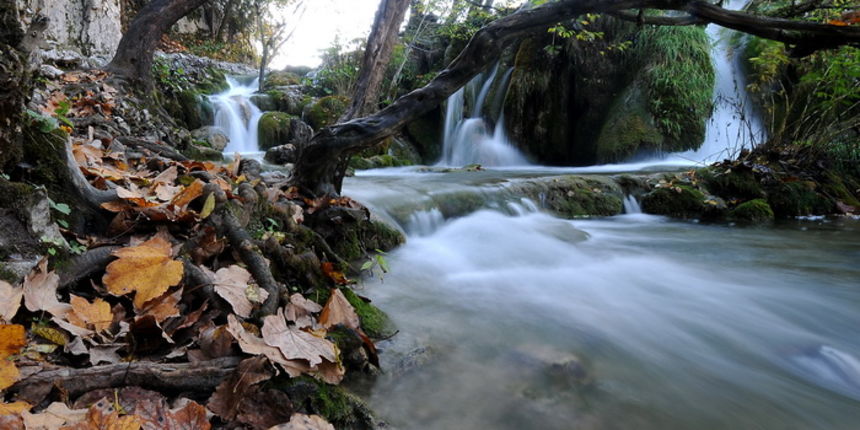Plitvicka Jezera, 251012.
Fotogalerija jeseni na Plitvickim jezerima.
Na fotografiji: slap na Plitvickim jezerima.
Foto: Robert Fajt / CROPIX Plitvicka Jezera, 251012.
Fotogalerija jeseni na Plitvickim jezerima.
Na fotografiji: slap na Plitvickim jezerima.
Foto: Robert Fajt / CROPIX